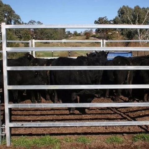 Galvanized Livestock Used Corral Panels , Used Horse Fence Panels