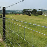 Anti Oxidation Decorative Barbed Wire , Barbed Wire Cattle Fence Easy Installation