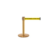 QueuePro 300 Mini: 16ft Gallery Mini Retractable Belt Barrier (Polished Brass)